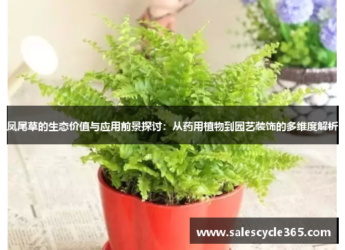 凤尾草的生态价值与应用前景探讨：从药用植物到园艺装饰的多维度解析
