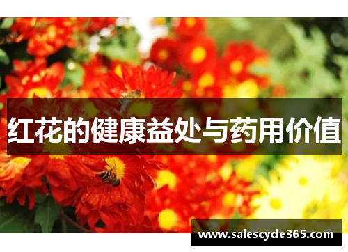 红花的健康益处与药用价值