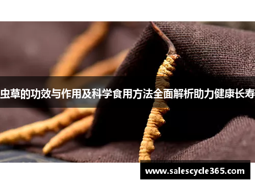 虫草的功效与作用及科学食用方法全面解析助力健康长寿