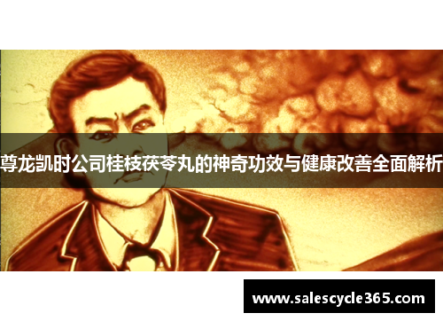 尊龙凯时公司桂枝茯苓丸的神奇功效与健康改善全面解析